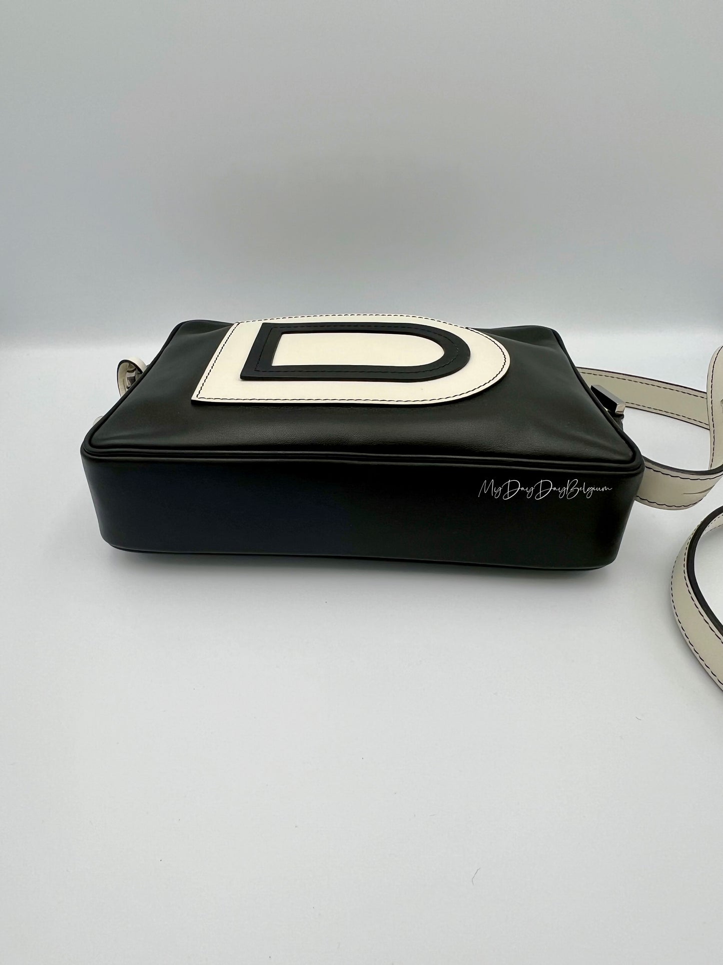 Delvaux Louise crossover camera bag 2015