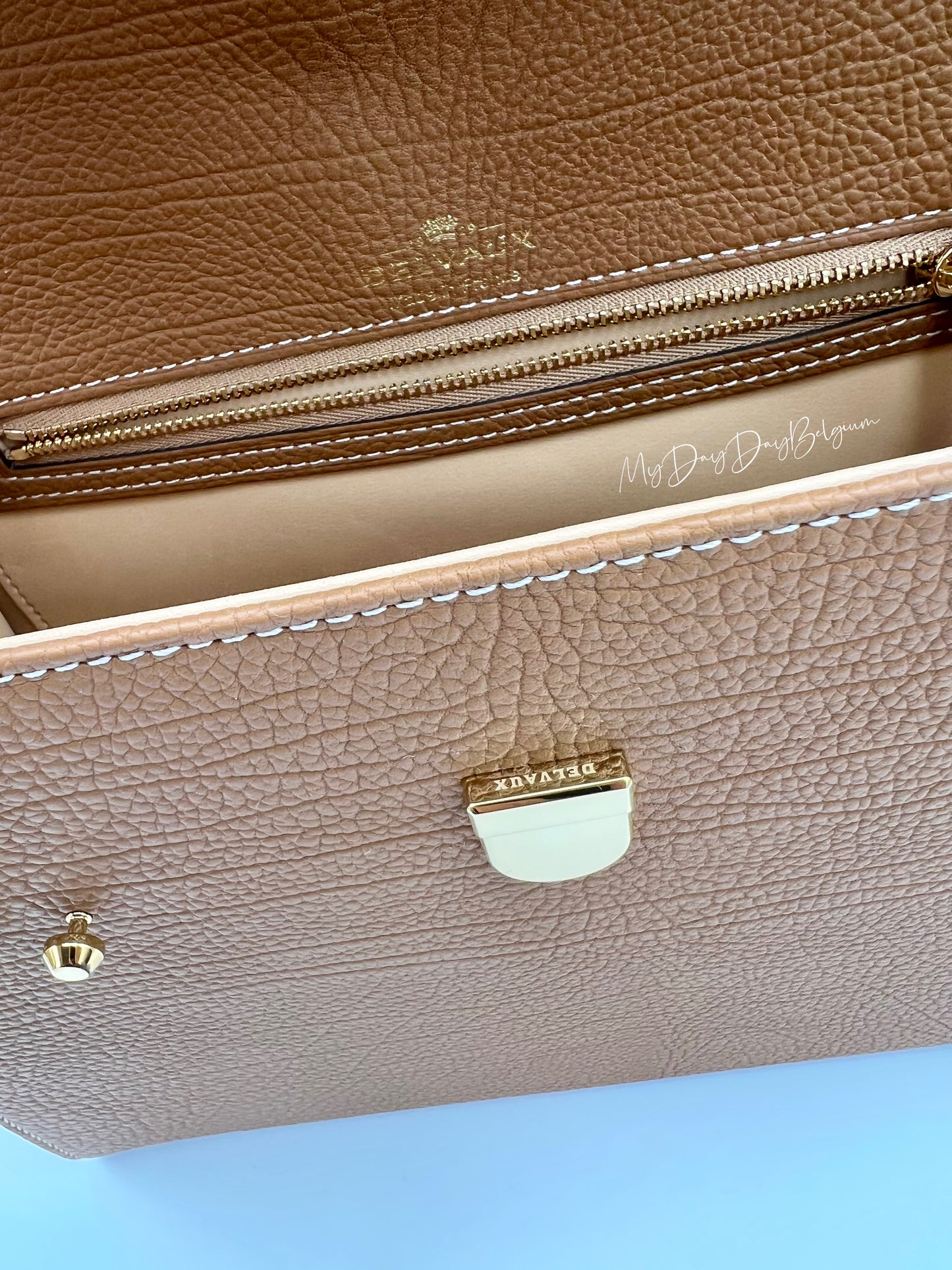 Delvaux Tempête MM crispy calf vegetale 2025