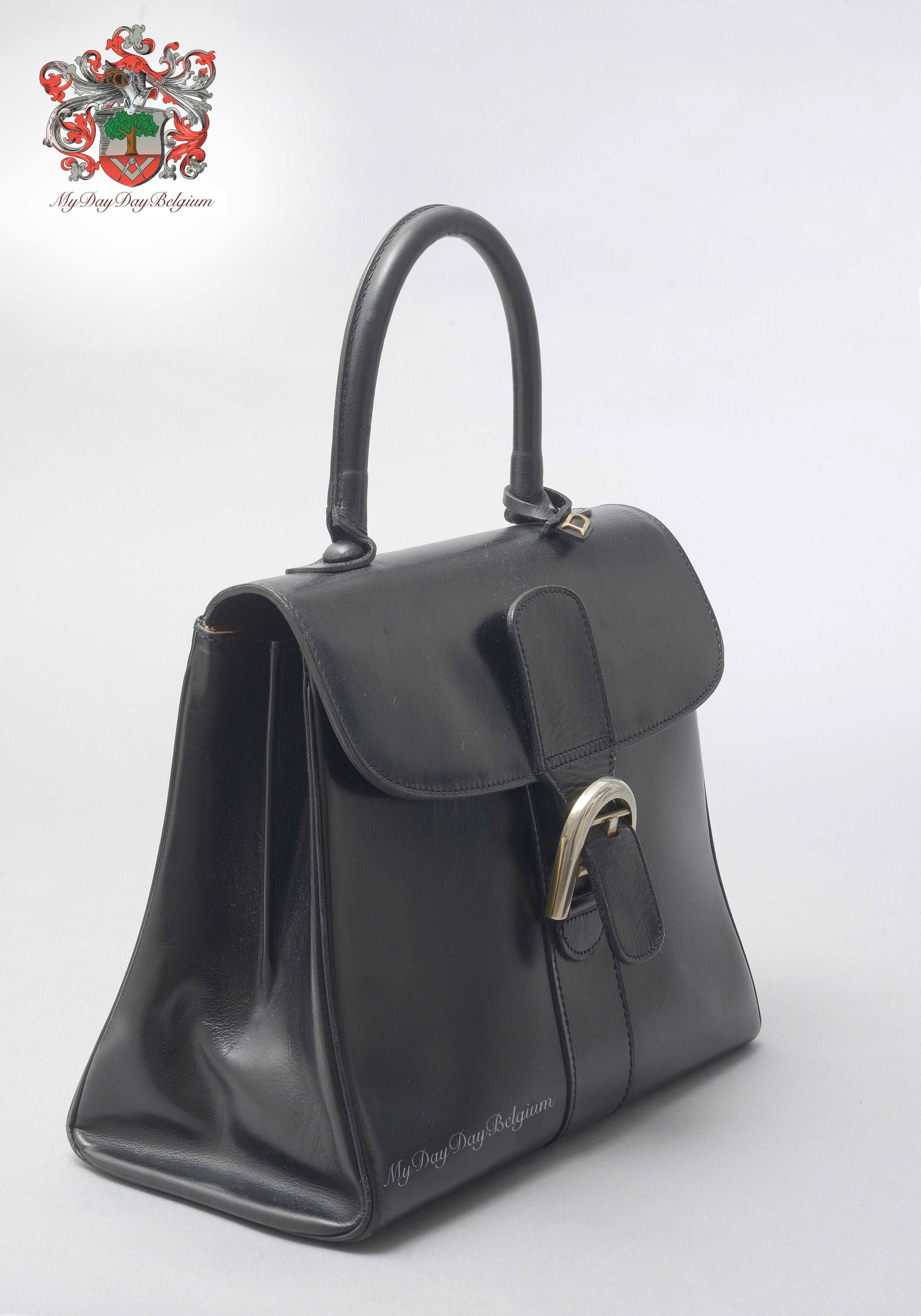 Sac best sale brillant delvaux