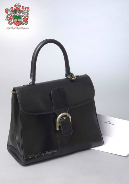 Delvaux Brillant MM