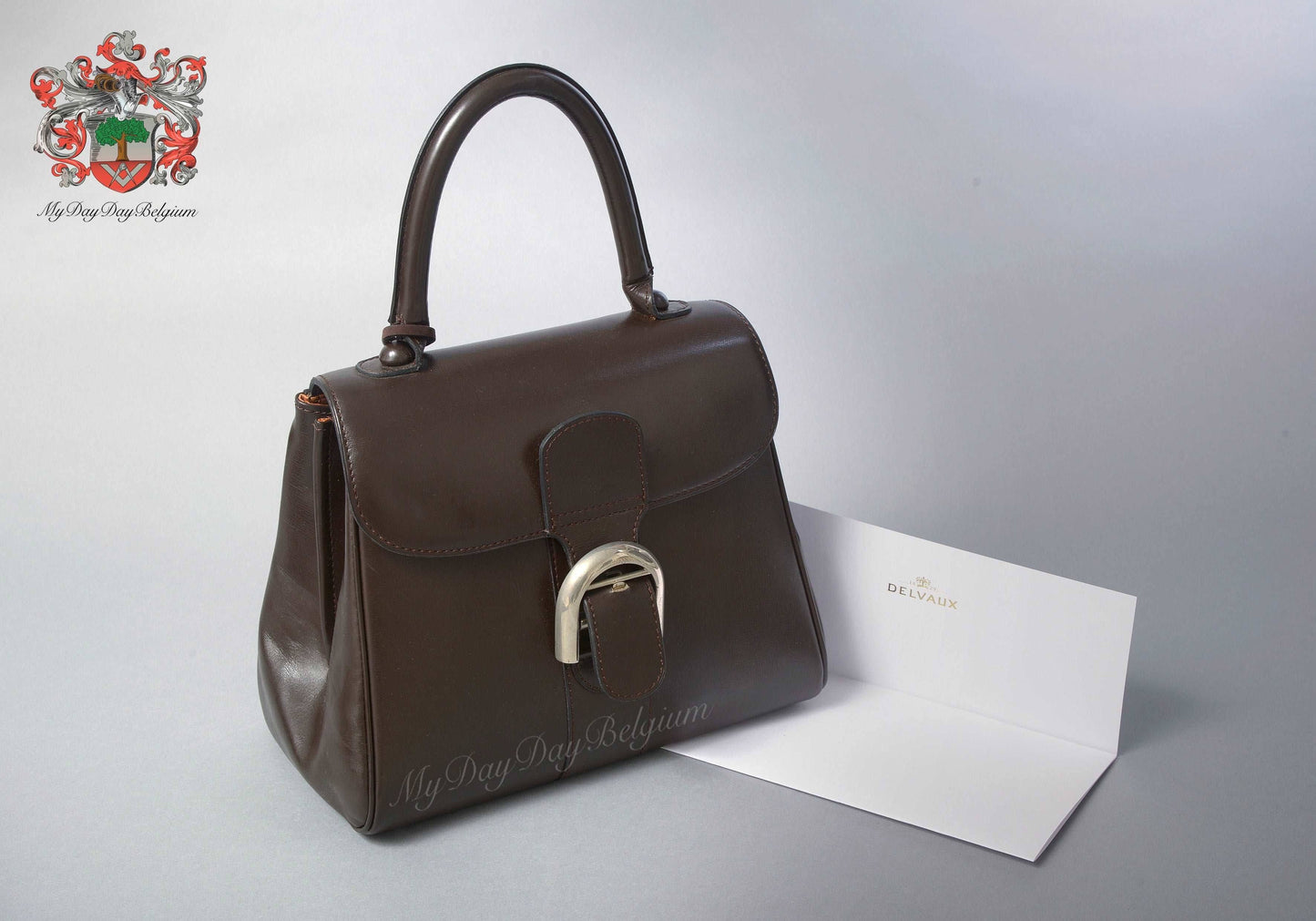 Delvaux Brillant PM 1974