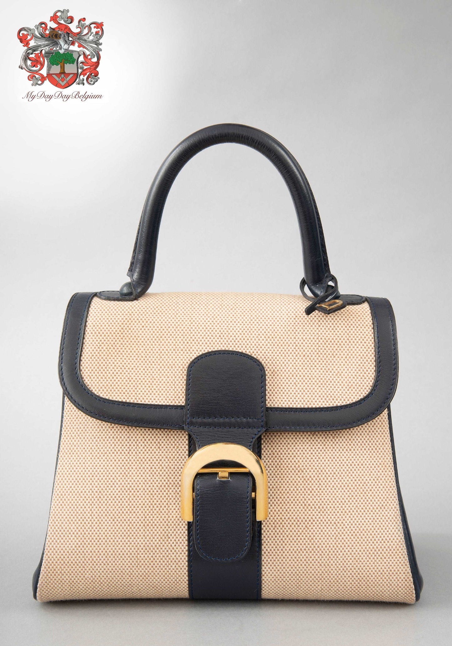 Delvaux Brillant in Canvas 1974