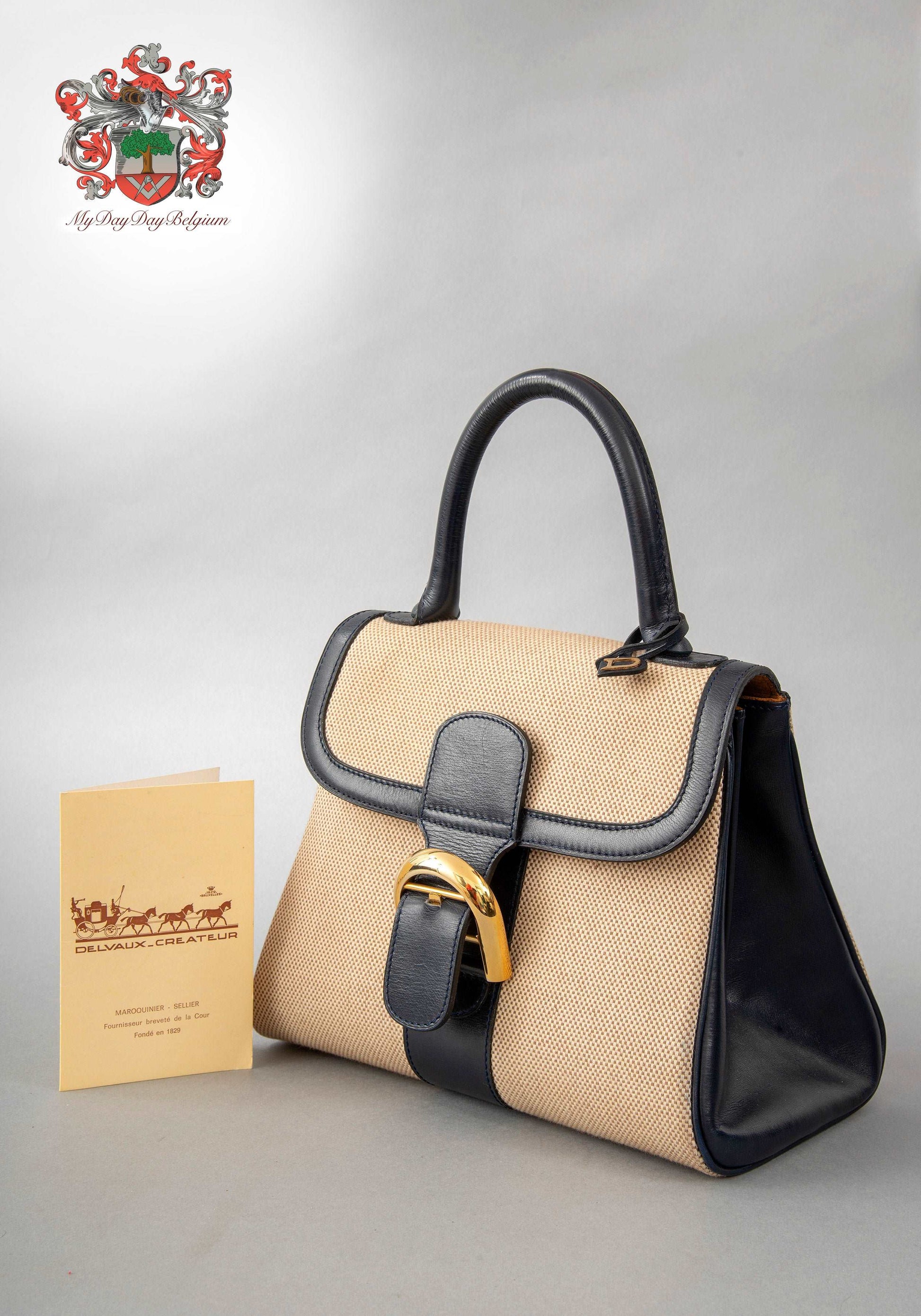 Delvaux Le Brillant Handbag Like New (Full Set)