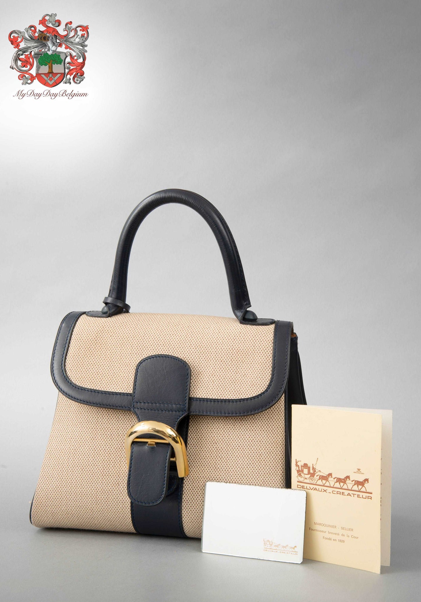 Delvaux Brillant in Canvas 1974