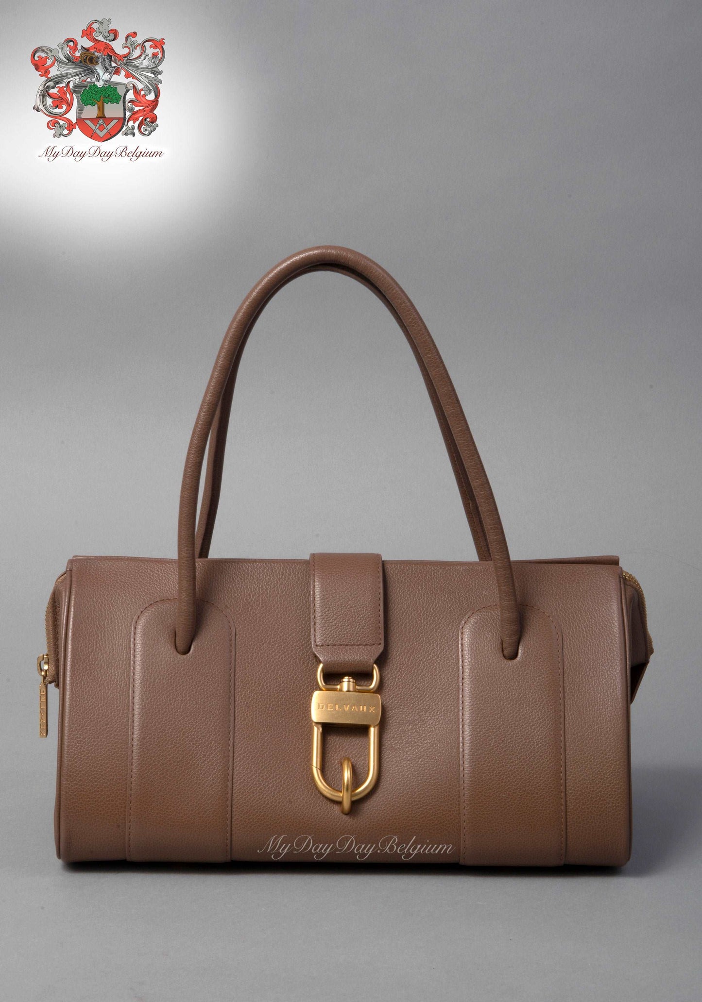 Delvaux George vintage handbag 2004