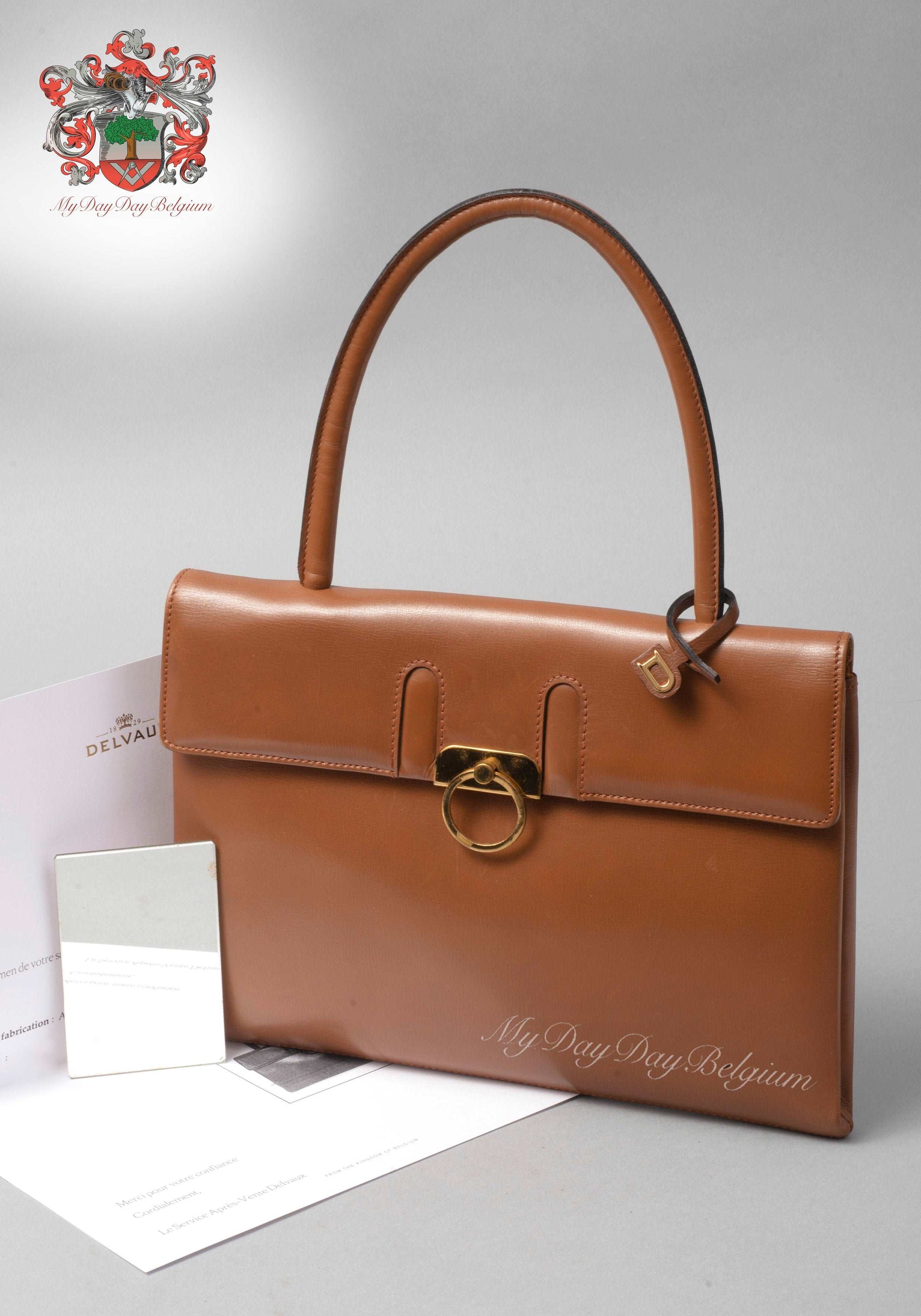 Delvaux Authenticated Leather Handbag