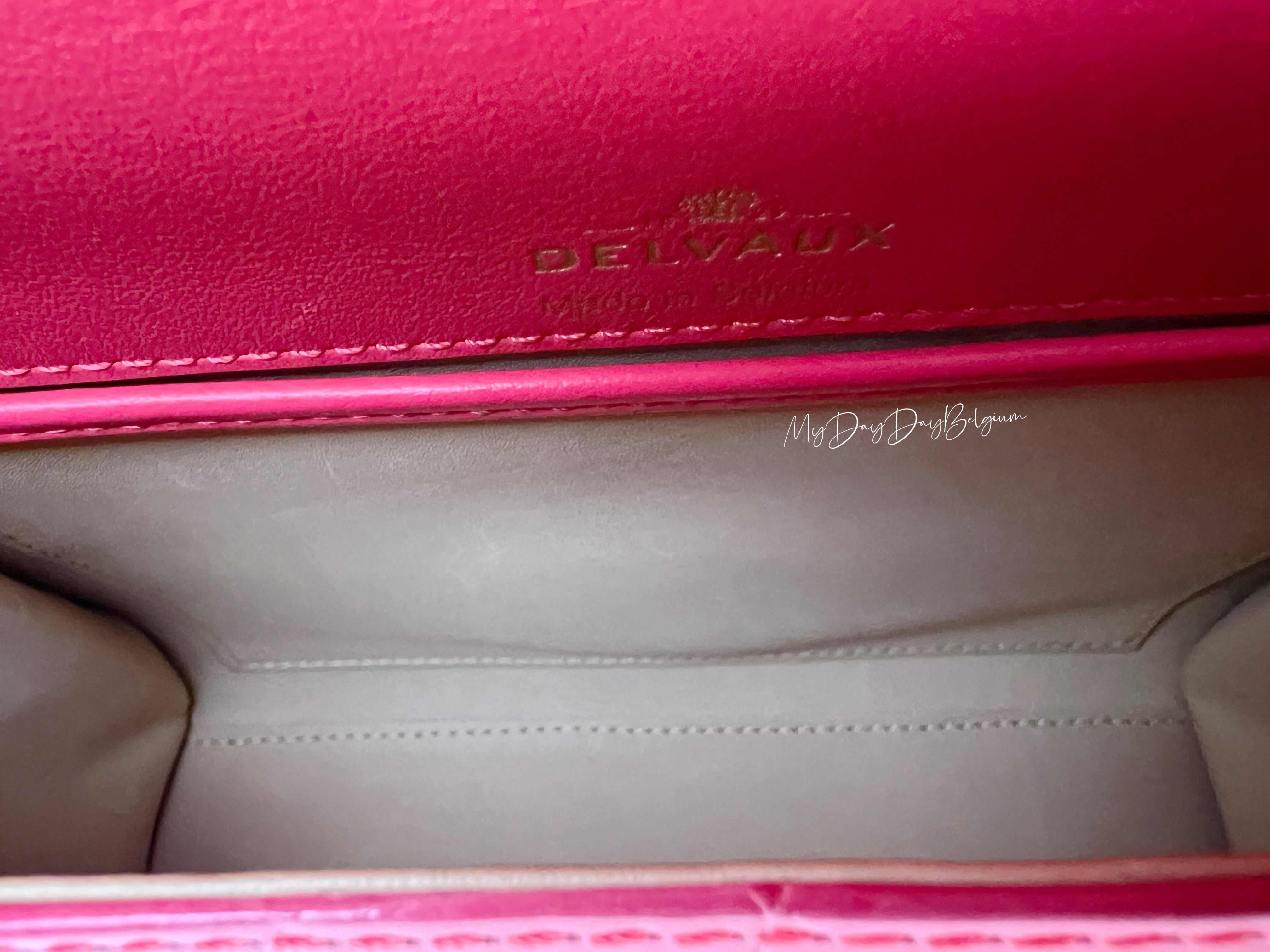 Delvaux Tempête Mini 2017 Pink Alligator Bag – MyDayDayBelgium