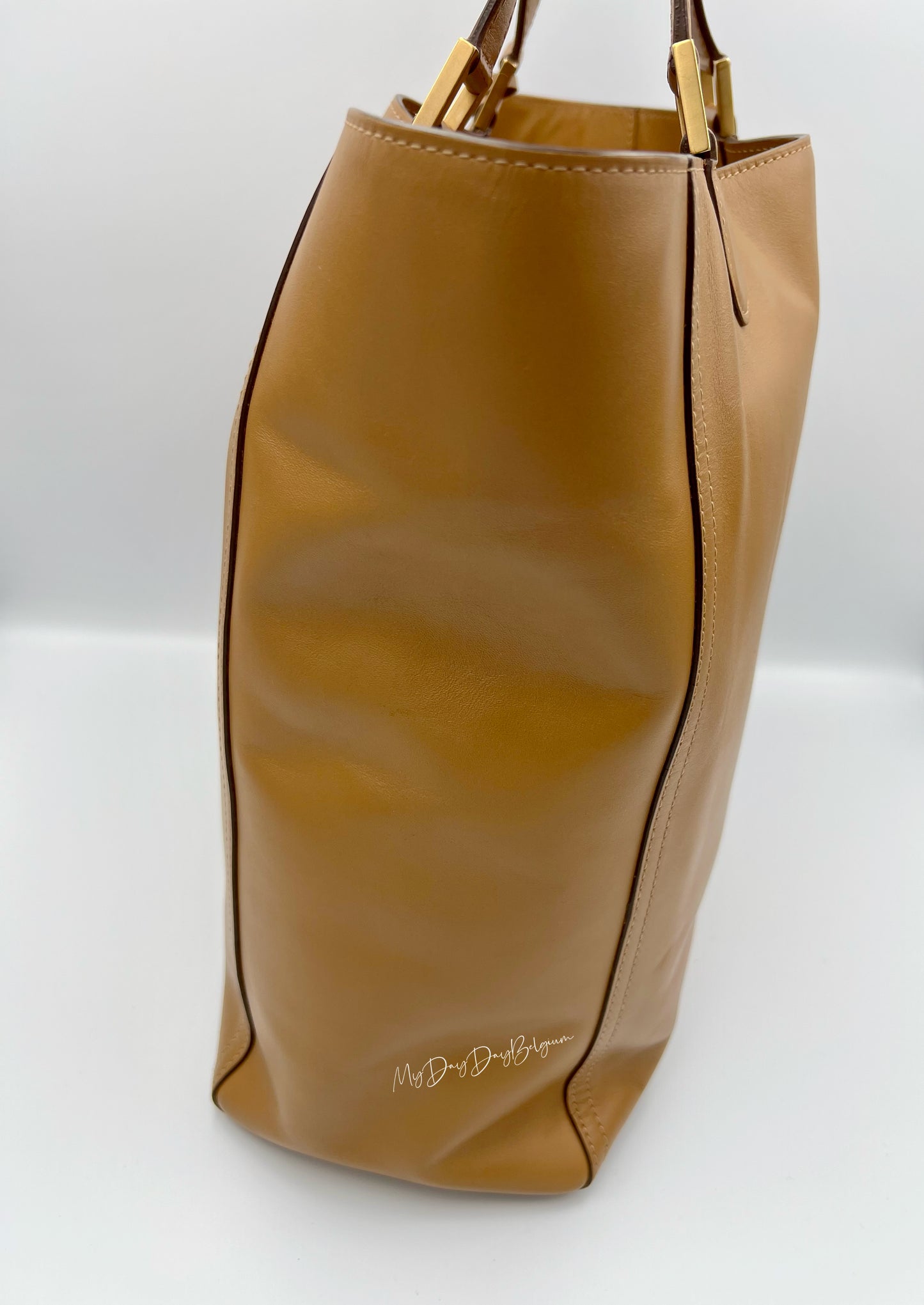 Delvaux Louise Tote Cadence bag vegetale 2015