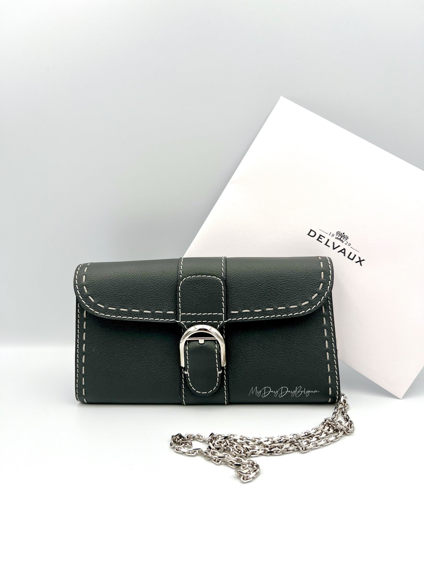 Delvaux Brillant Wallet on Chain Crossbody / Shoulder Bag stone 2023