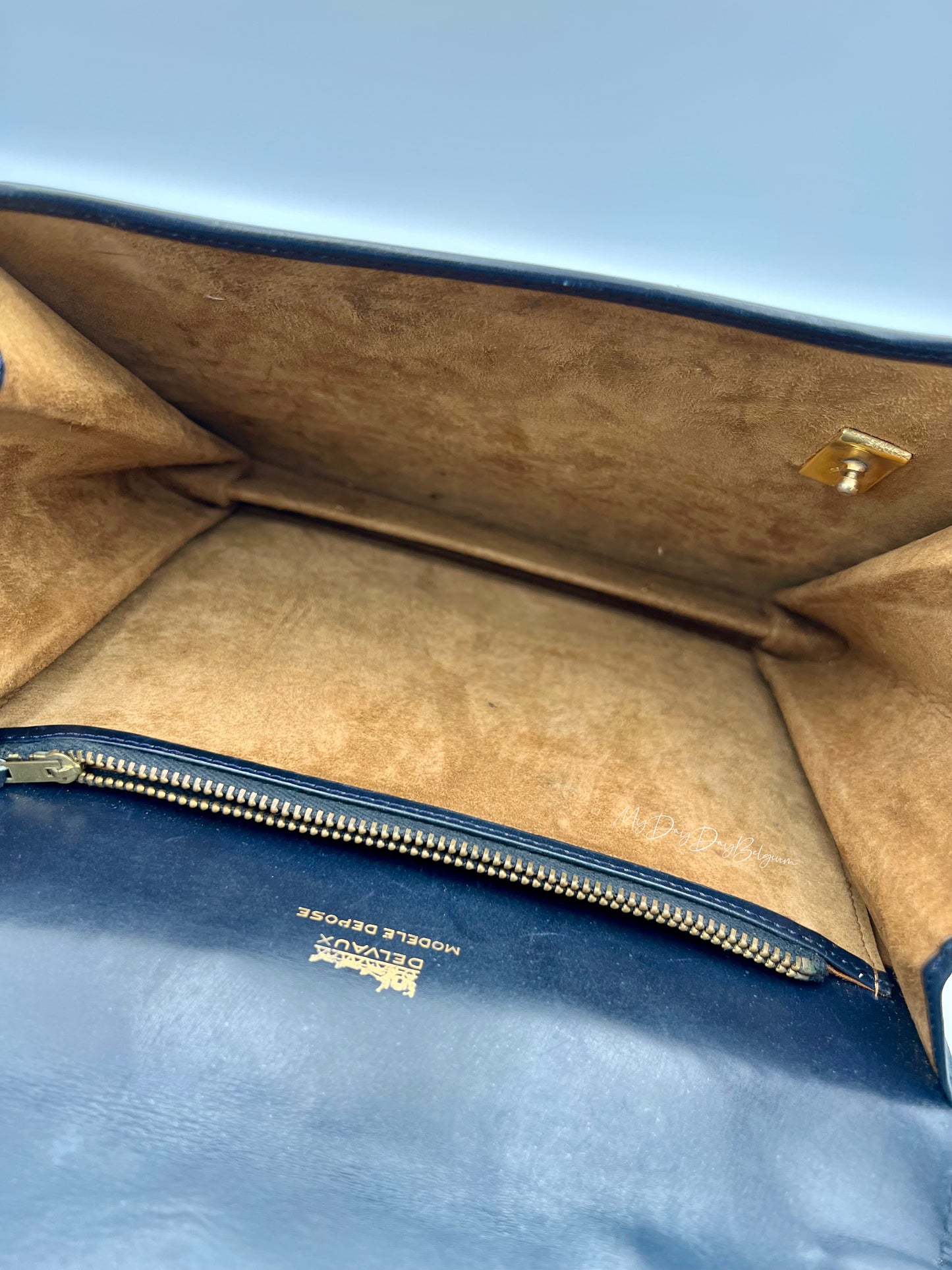 Vintage Delvaux Xylophone Crossbody 1973