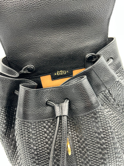 Delvaux Soleil rucksack