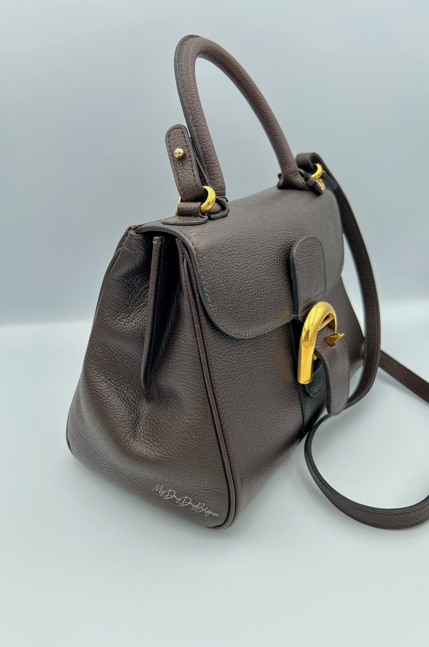 Delvaux Brillant PM in brown 1996