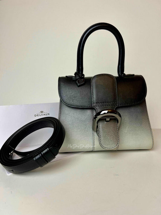 Delvaux Brillant mini