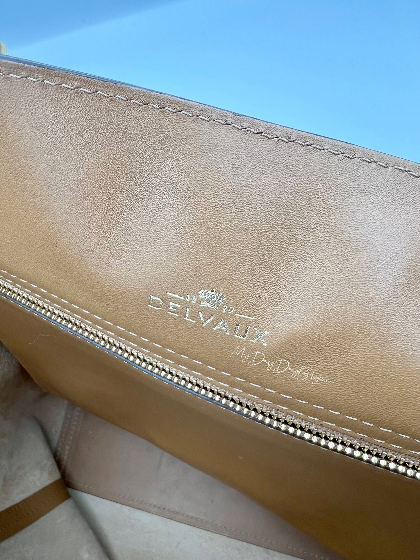 Delvaux Louise Tote Cadence bag vegetale 2015