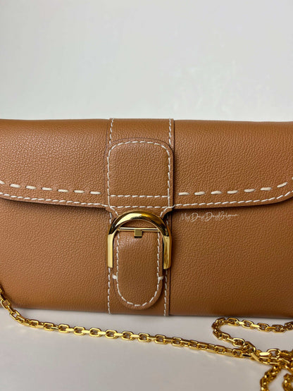 Delvaux Brillant Wallet on Chain Crossbody / Shoulder Bag Vegetale 2021