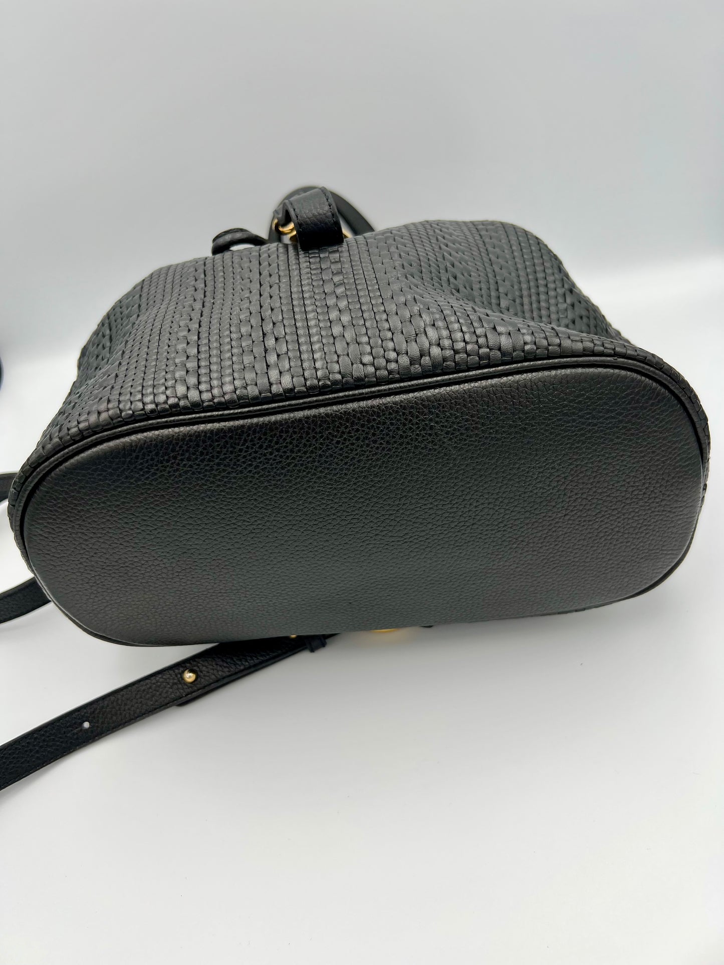 Delvaux Soleil rucksack