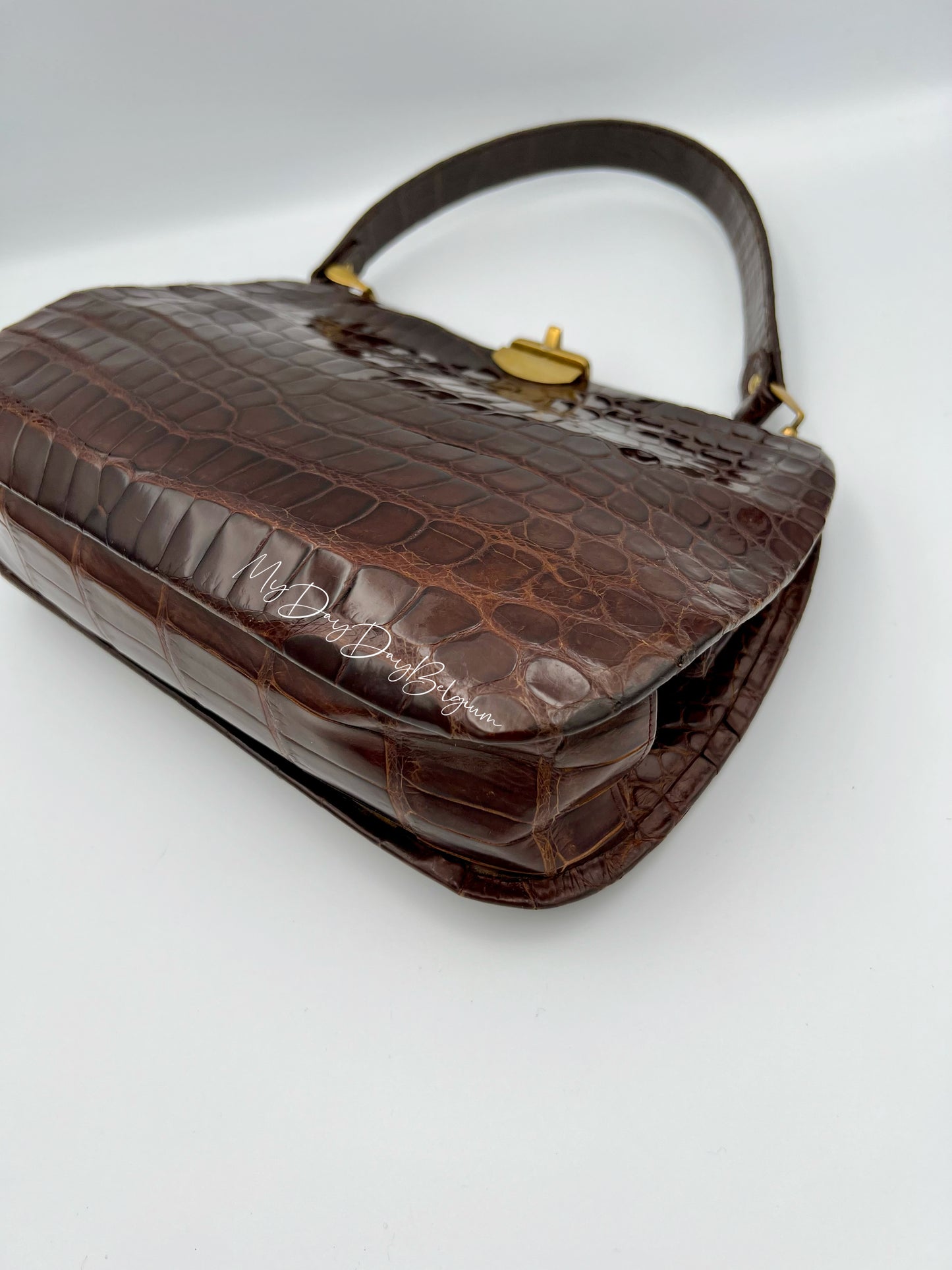 Vintage Delvaux exotic top handle 1954