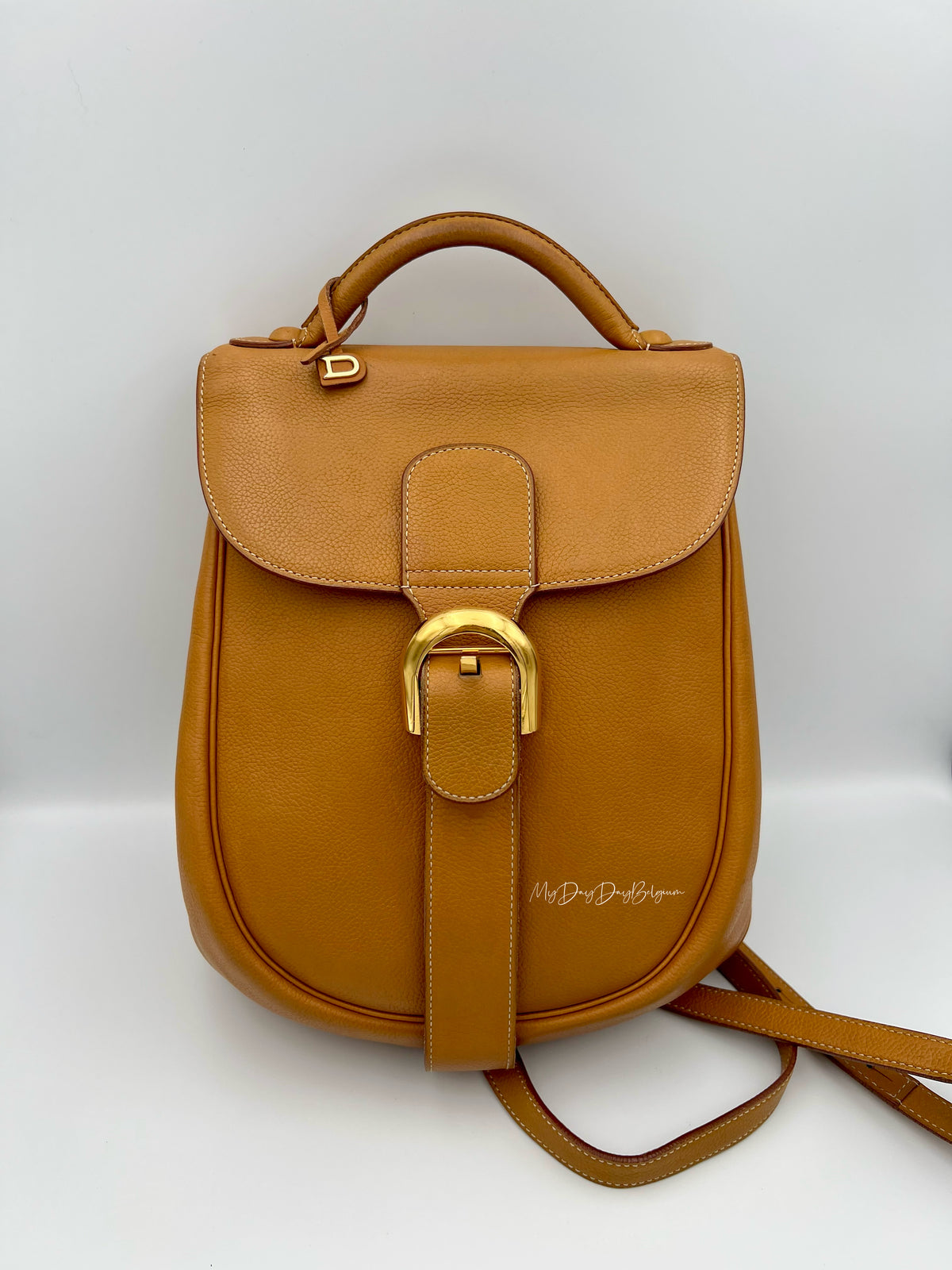 Delvaux Cristal de Roche Trotteur fauve Rucksack 2002