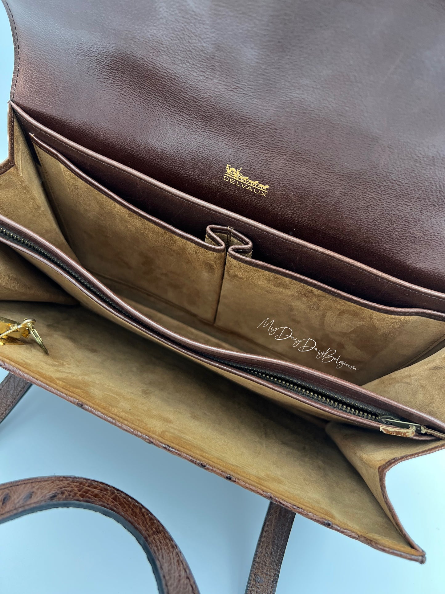 Delvaux ostrich 1976 shoulder/top handle bag
