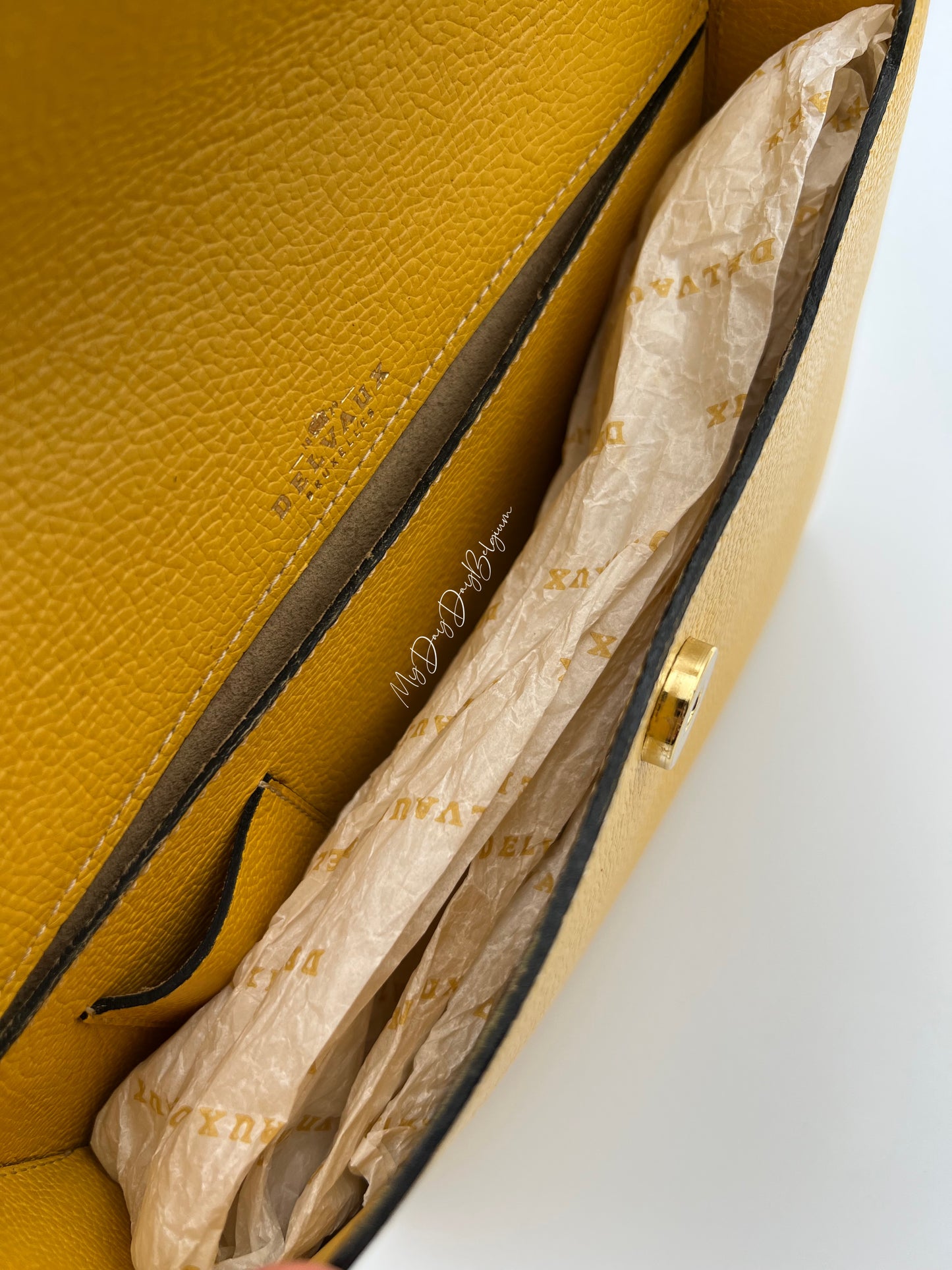 Delvaux crossbody in jumping leather pollen colour 1980s