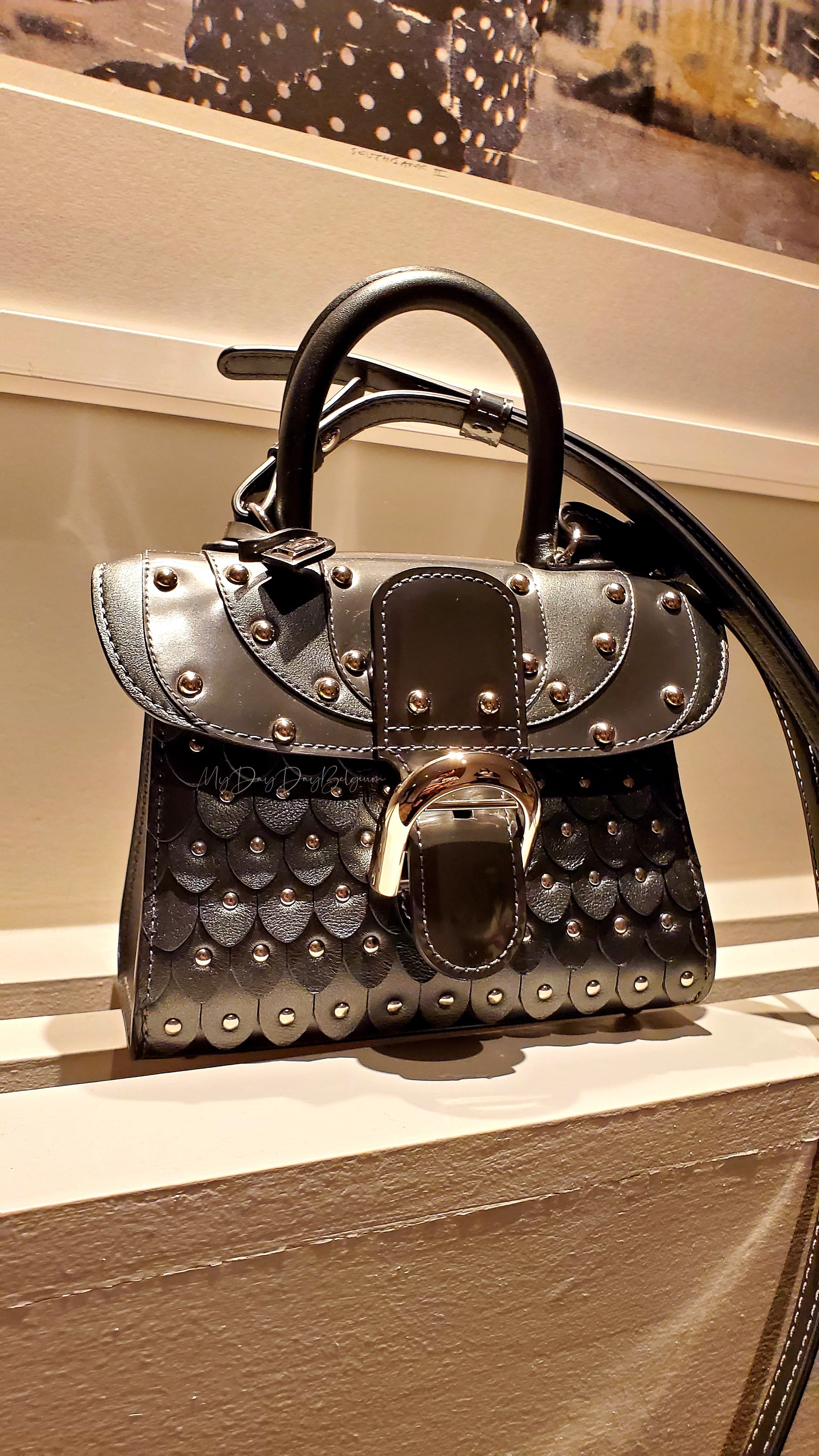 Delvaux shop brillant vintage