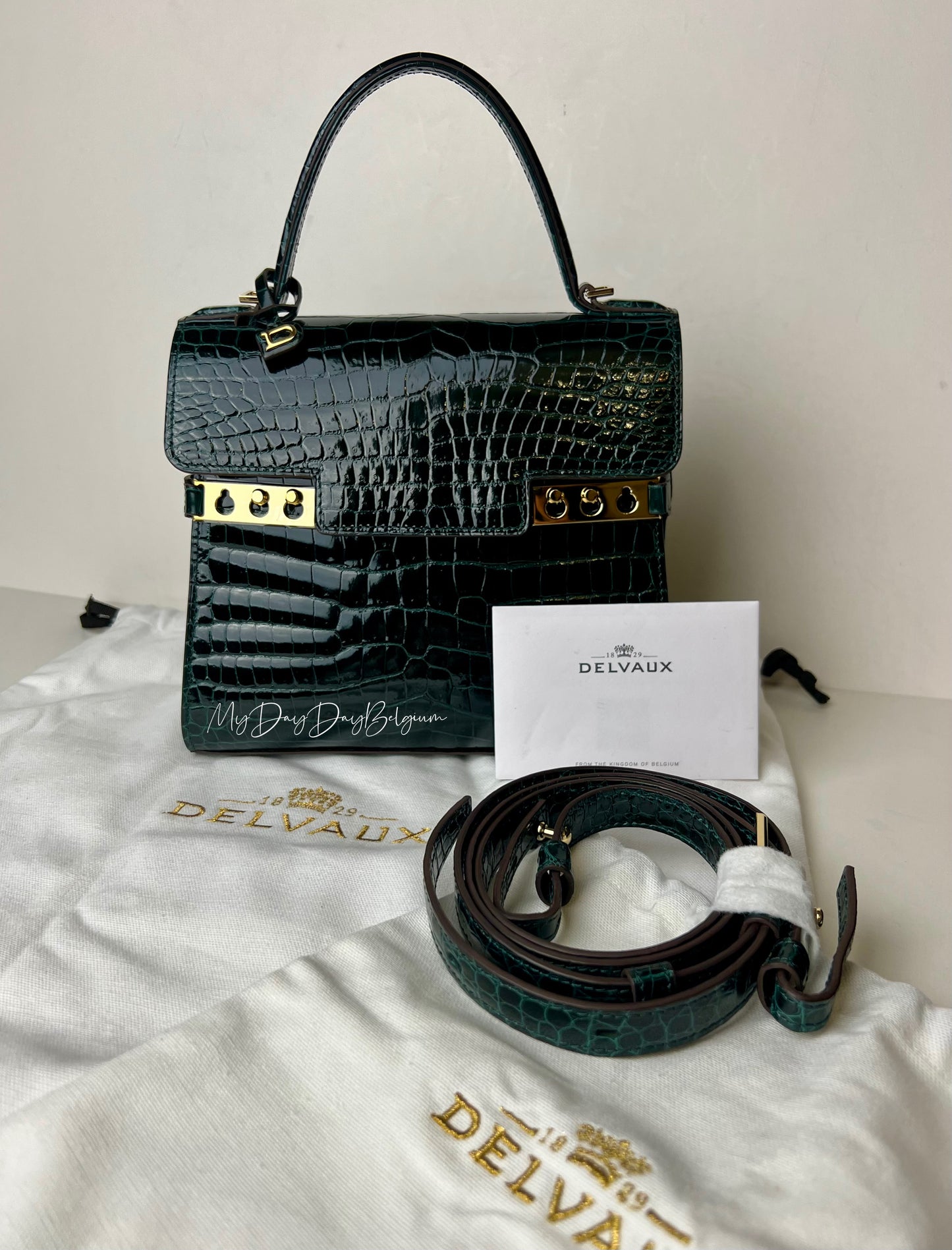 Delvaux Tempête PM emerald alligator