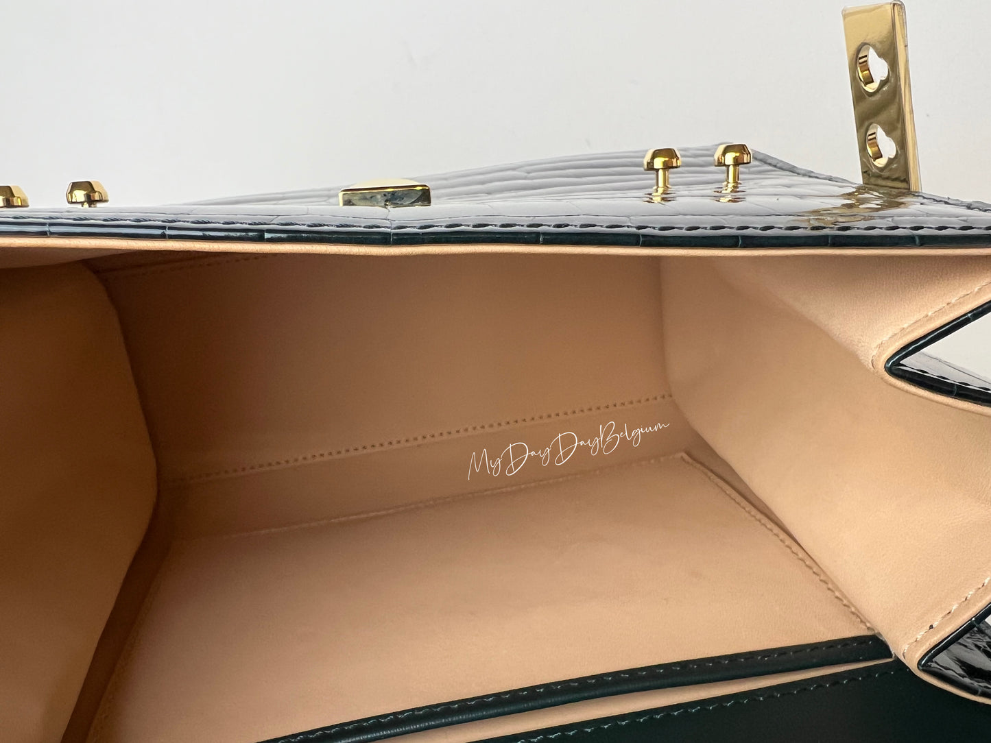 Delvaux Tempête PM emerald alligator