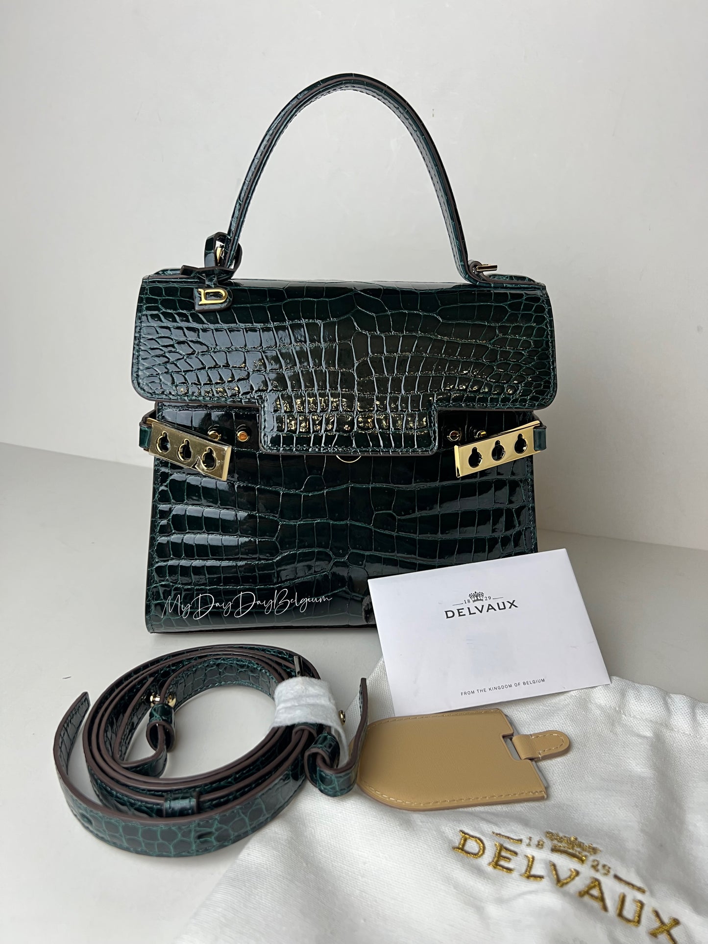 Delvaux Tempête PM emerald alligator