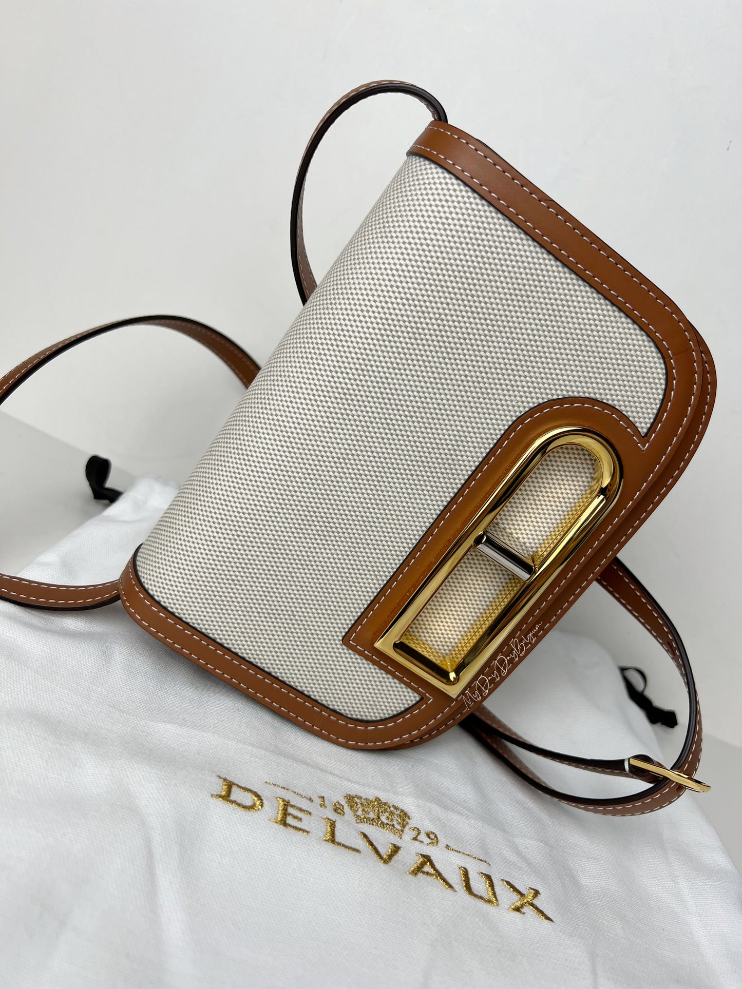 Delvaux Lingot small in canvas 2023