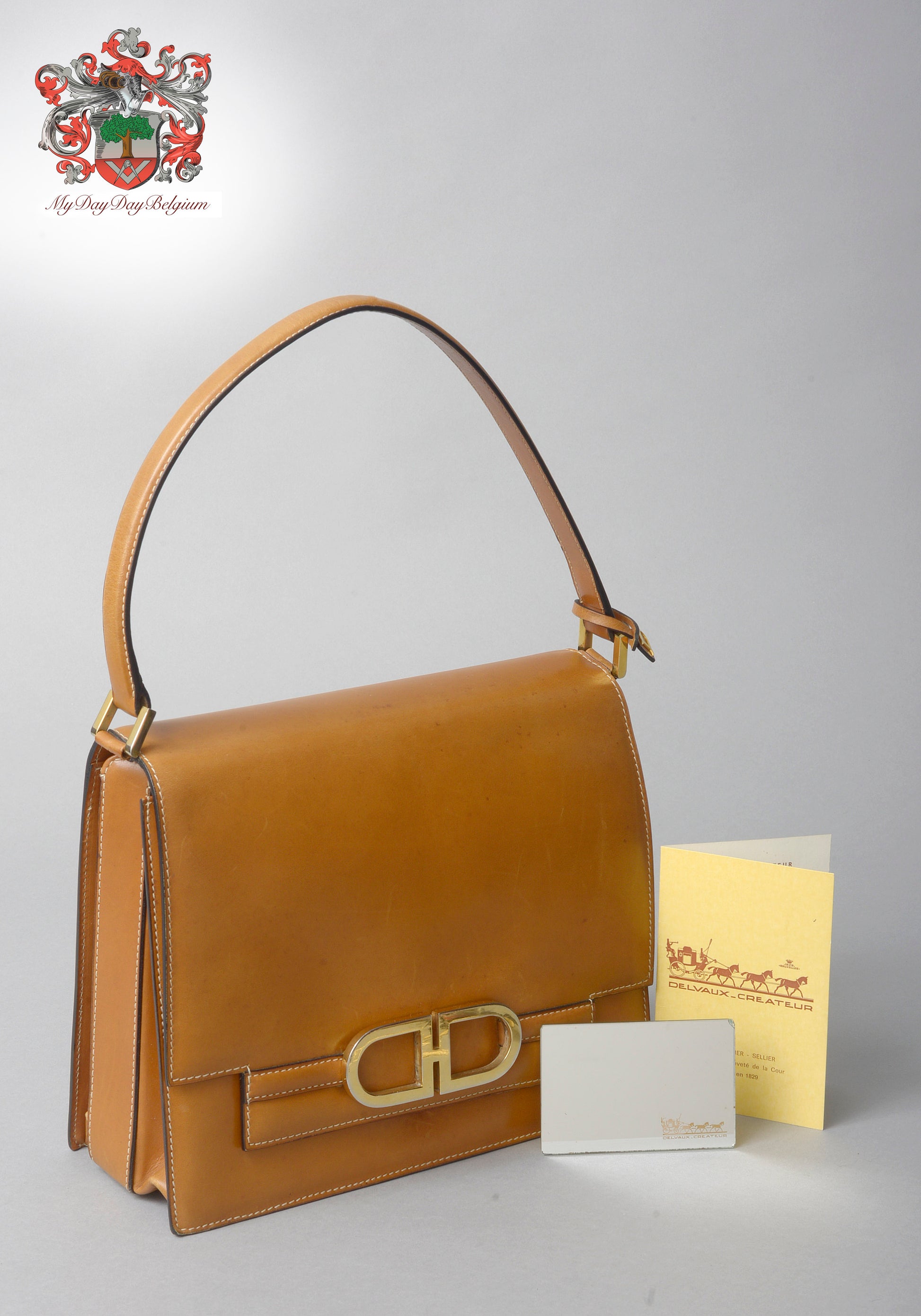 Delvaux Lingot Canvas Shoulder Bag in Brown