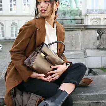 Delvaux Tempête Top Handle Brown 1967